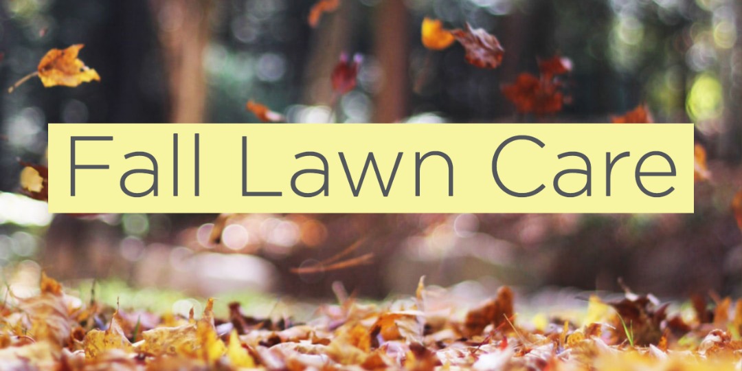 1118 Fall Lawn Care