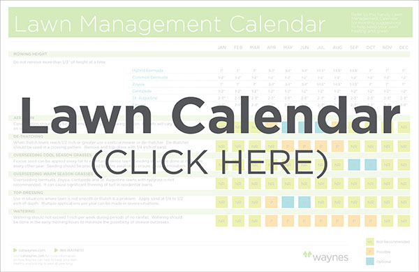 Lawn Calendar\