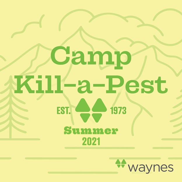 Camp Kill A Pest Blog Image